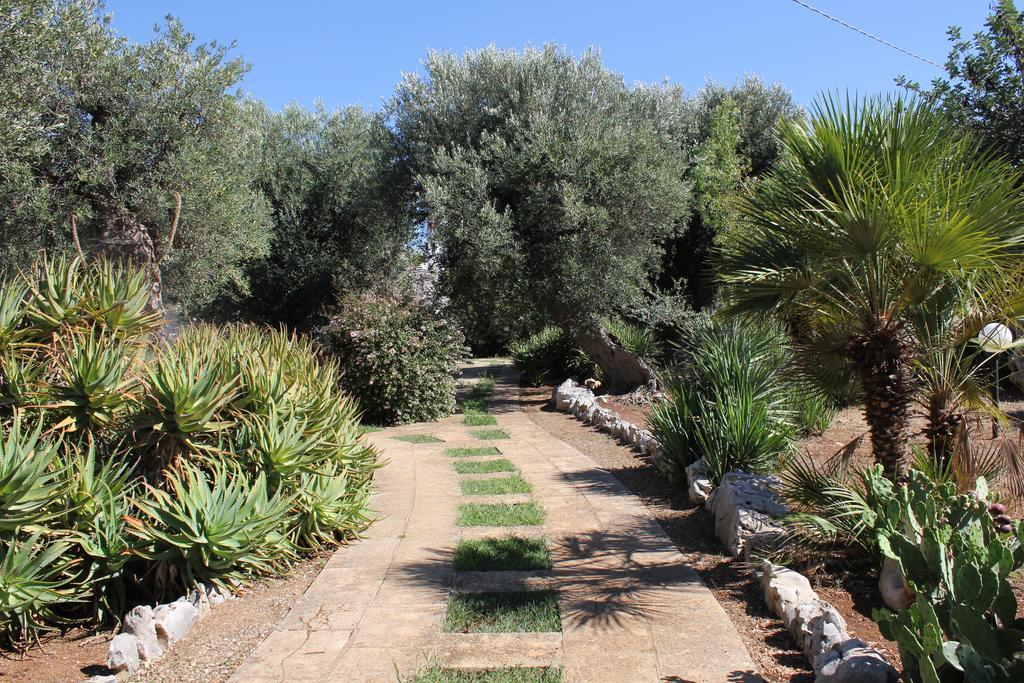 Masseria Vagone Macchia di Monte Eksteriør bilde